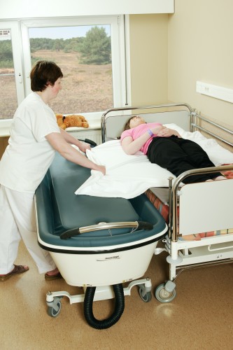 HANDI-roll board ; Shower-bathing trolley - Handi-Rehab Patient lift hoist