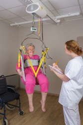 Ceiling motor ; Digital scale - Handi-Rehab Patient lift hoist