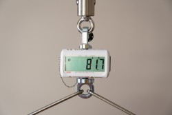 Digital scale - Handi-Rehab Patient lift hoist